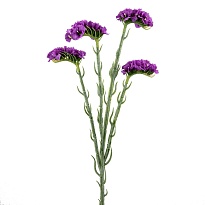 Статица одиночная искусственная 4 ветки h64см сиреневый