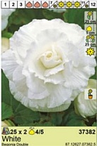 Бегония Белая махр. 4/5 2шт*