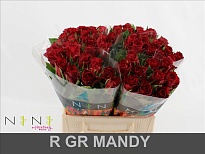 Роза Mandy дл.40 20шт