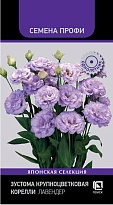 Эустома (Лизиантус) Корелли Лавендер 5шт /Поиск