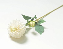 Георгин одиночный искусственный h58см белый