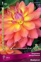 Георгина декоративная Файрпот 1шт