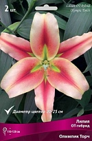 Лилия ОТ-гибрид Олимпик Торч 12/14 3шт