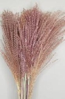 Эулалия Natural пучок 1шт