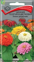Цинния Пепито Дварф Микс георгиноцв. 0,4г /Поиск