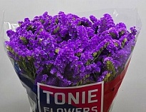 Статица Crystal Purple 5шт