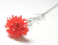 Гвоздика искусственная 1 голова h50см микс