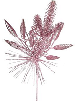 Ветка декоративная с глиттером h35см розовый