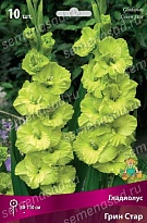 Гладиолус Грин Стар 10/12 10шт