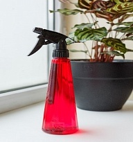 Опрыскиватель Рейн 0,38л пластик ягодный