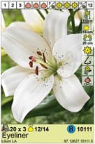 Лилия Айлайнер ЛА гибр.12/14 3шт*