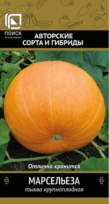 Тыква Марсельеза 10шт /Поиск
