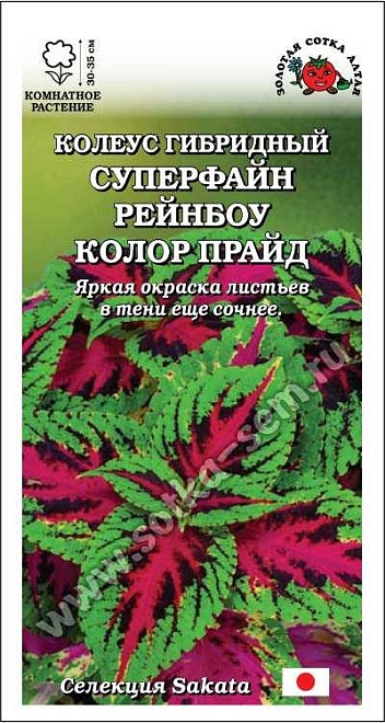 Колеус Суперфайн Рейнбоу Колор Прайд 10шт /ЗС