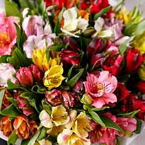 Альстромерия Qualisa Mix дл.70 10шт