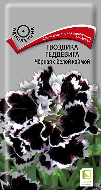 Гвоздика Геддевига Чёрная с белой каймой 0,04г /Поиск