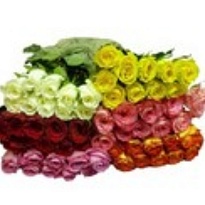 Роза Credible Blooms Mix дл.40 10шт
