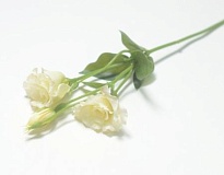 Эустома искусственная 2 головы 1 бутона h46см белый