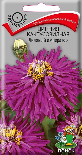 Цинния кактусовидная Лиловый император 0,4гр /Поиск