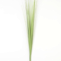 Зелень букет искусственный осока h60см светло-зеленый