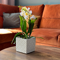 Кашпо квадрат Polnix Vintage d14*14 h13см керамика кремовый