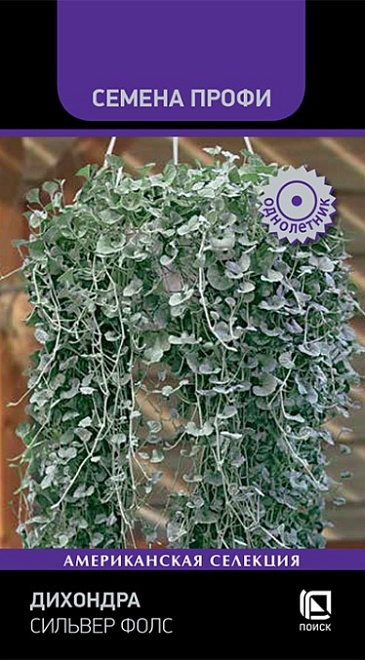 Дихондра Сильвер Фолс 5шт /Поиск