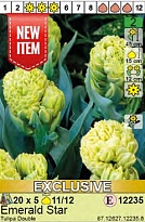 Тюльпан Эмеральд Стар махр. 11/12 5шт*