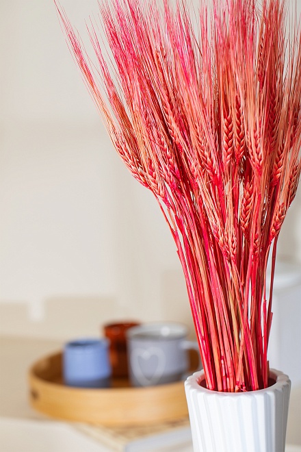 Ячмень сухоцвет, h60см, 100г, красный