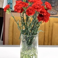 Гвоздика Daniko 20шт