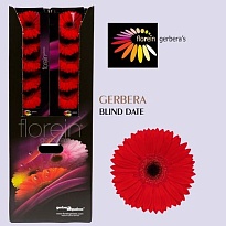 Гербера Aquabox Blinddate 48шт