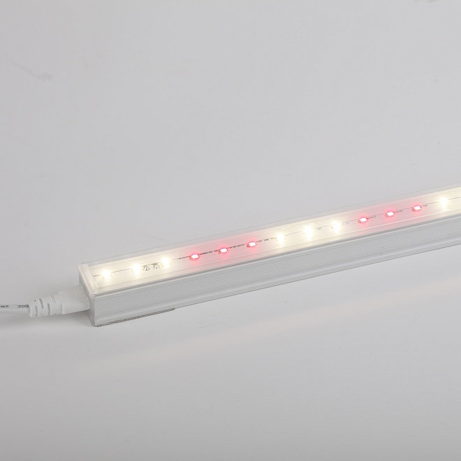 Фитосветильник ЭРА линейный полный спектр 9 Вт 