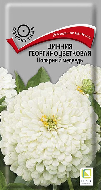 Цинния Полярный медведь 0,4г /Поиск