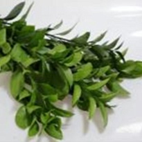 Рускус (К) дл.60 1уп