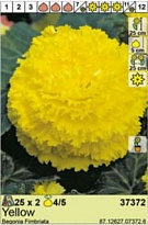 Бегония Фимбриата Жёлтая 4/5 2шт*