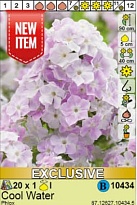 Флокс Кул Вотер 1шт*