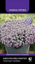Алиссум Клеа Кристал Лавендер Шейдес 20шт /Поиск