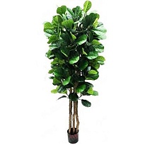 Фикус искусcтвенный лировидный  h180см 192листа