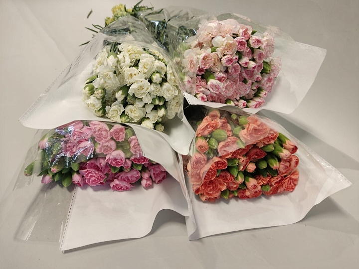 Гвоздика куст. Пастель Микс (К) дл.60 20шт