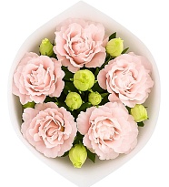Эустома Махровая Terry Light pink (К) дл.70 1уп