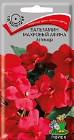 Бальзамин Афина Артемида махровый 5шт /Поиск