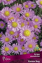 Астра альпийская Хэппи Энд 1шт