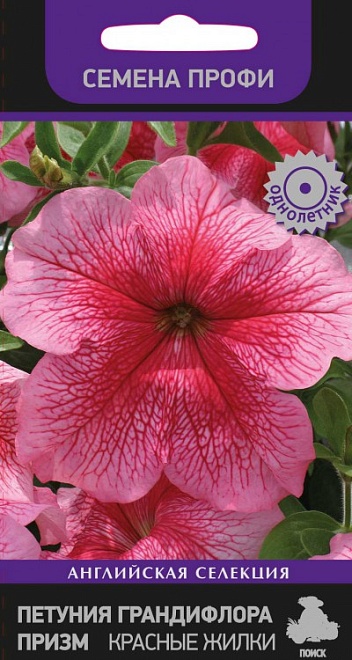 Петуния грандифлора Призм Красные Жилки 30шт /Поиск