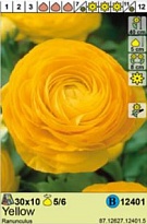 Лютик Желтый 5/6 10шт*