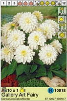 Георгина Гэллери Арт Фэйри борд.1шт*