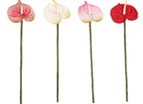 Антуриум одиночный искусственный h58см микс