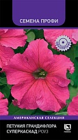 Петуния грандифлора Суперкаскад Роуз 10шт /Поиск