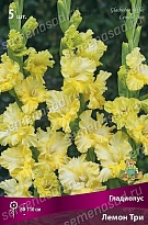 Гладиолус Лемон Три 12/14 5шт
