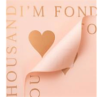 Пленка матовая 58*58 см "Любовь" 10 листов розовый