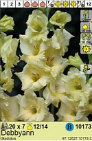 Гладиолус Деббиэнн 12/14 7шт*