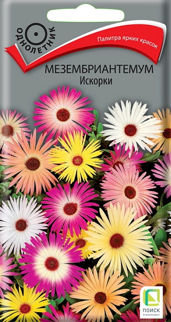 Мезембриантемум (Доротеантус) Искорки 0,3г /Поиск
