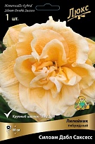 Лилейник гибридный Силоам Дабл Саксесс 1шт